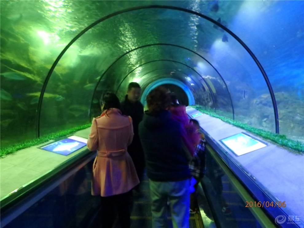 【精华大比拼】徐州云龙湖水族馆