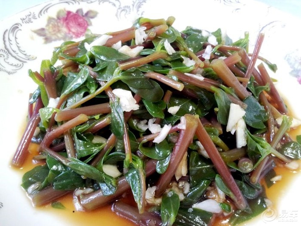 【食尚玩家第五季】凉拌马齿苋(妈妈菜)