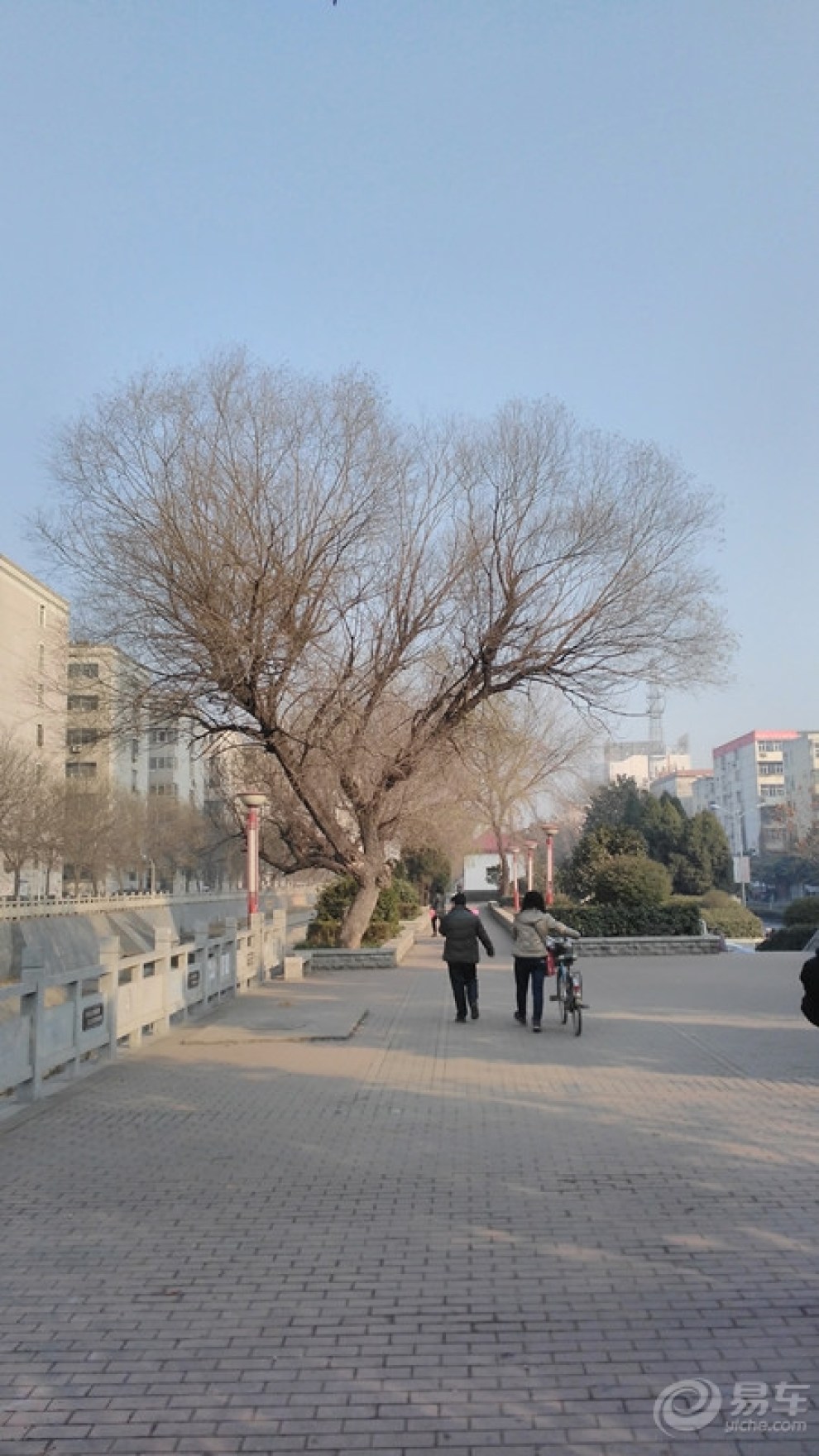 元旦看車展,湛河公園遊玩