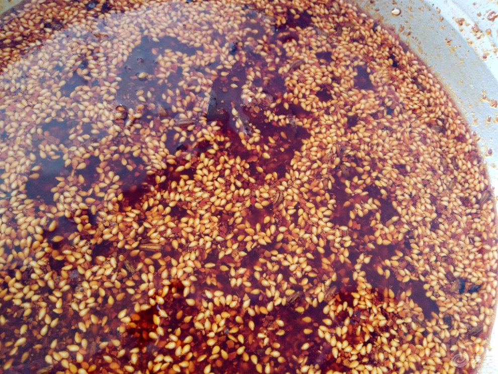 【秋季食补】炸辣椒面