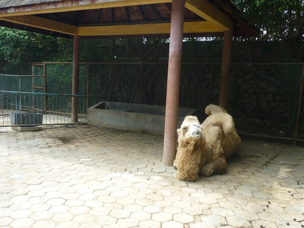 南寧動物園