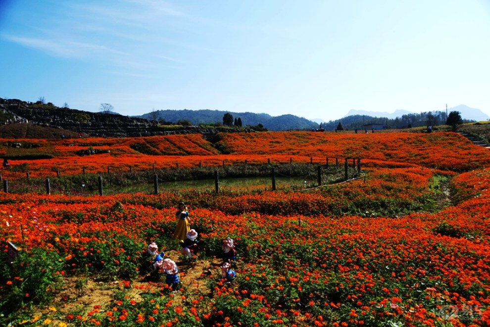 西递石林花海