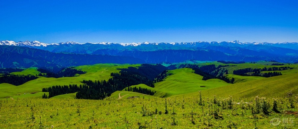【寻路传奇·半年志】西北自驾行第三站:新疆之六新源县南山牧场