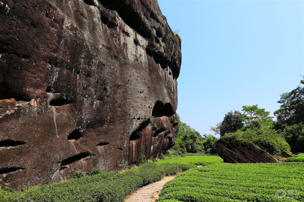 武夷山虎啸岩随拍