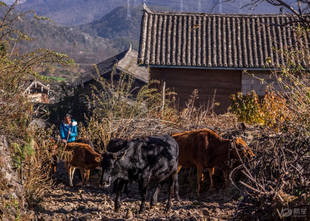 【响水河村印象记】二