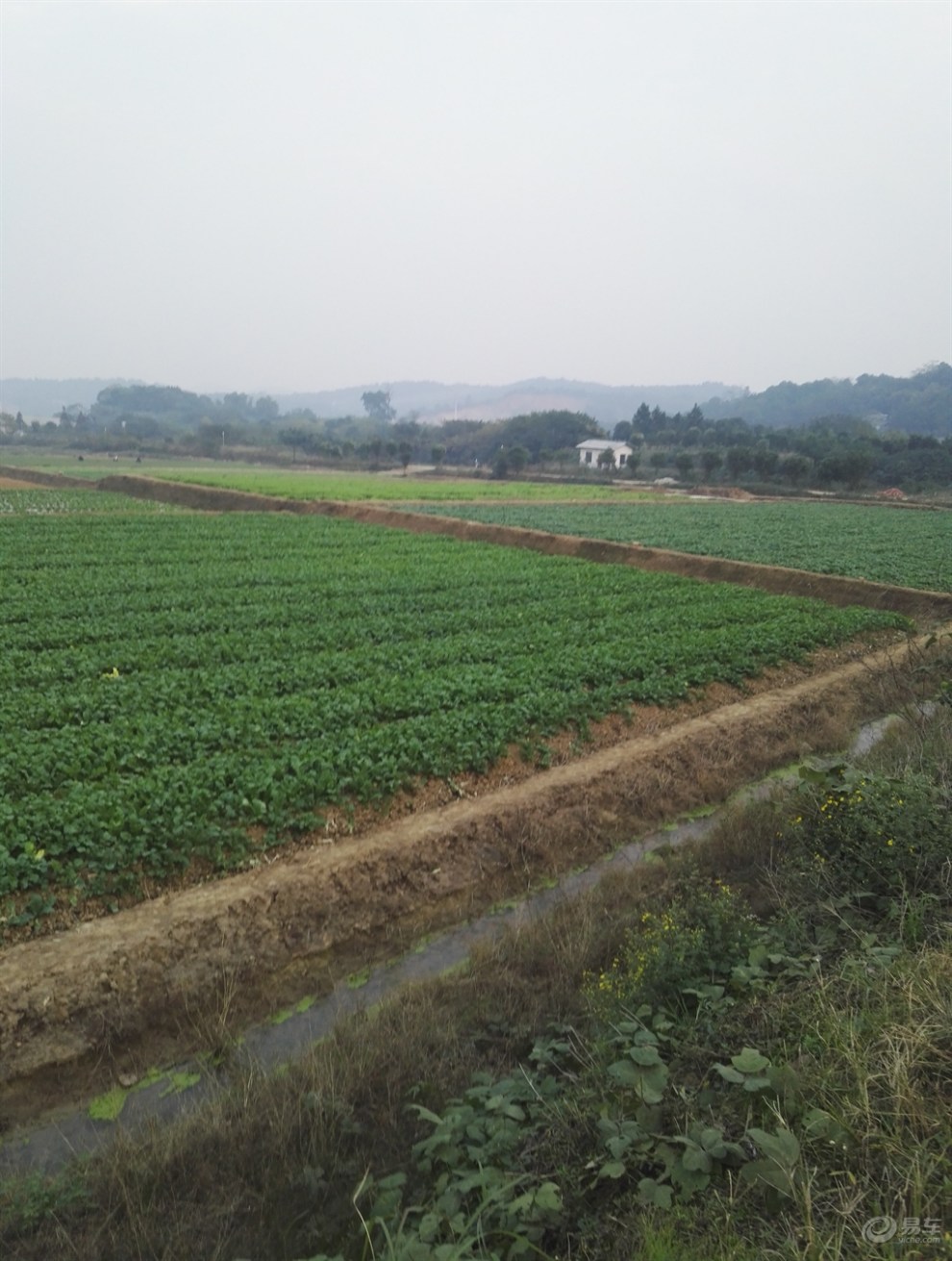 【长沙cs75官方车友会】回顾儿时的农田菜地