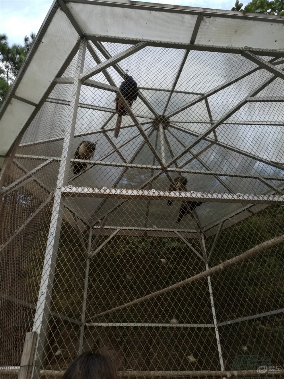 【大连cs75车友俱乐部273】观赏私人花园