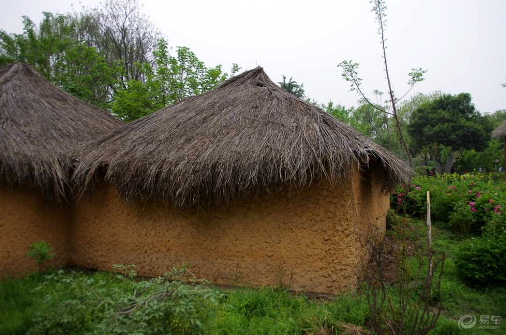 【谷雨四月天】半坡博物馆里赏春花