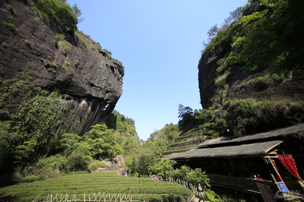 【原創首發】武夷山的大紅袍景區