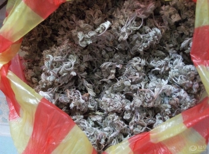 茵陈水_新生儿喝茵陈水几天黄疸会好