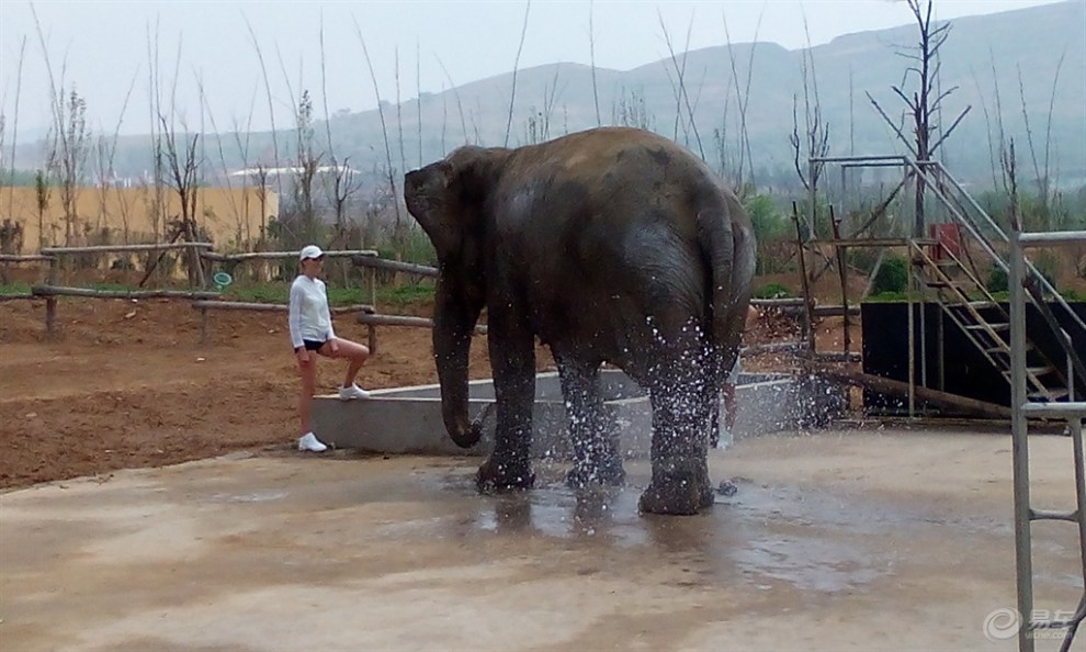 萬安山野生動物園遊記