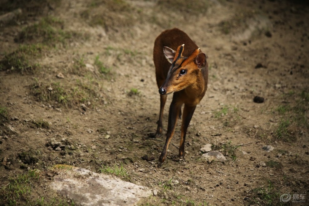 安徽社区热点图集