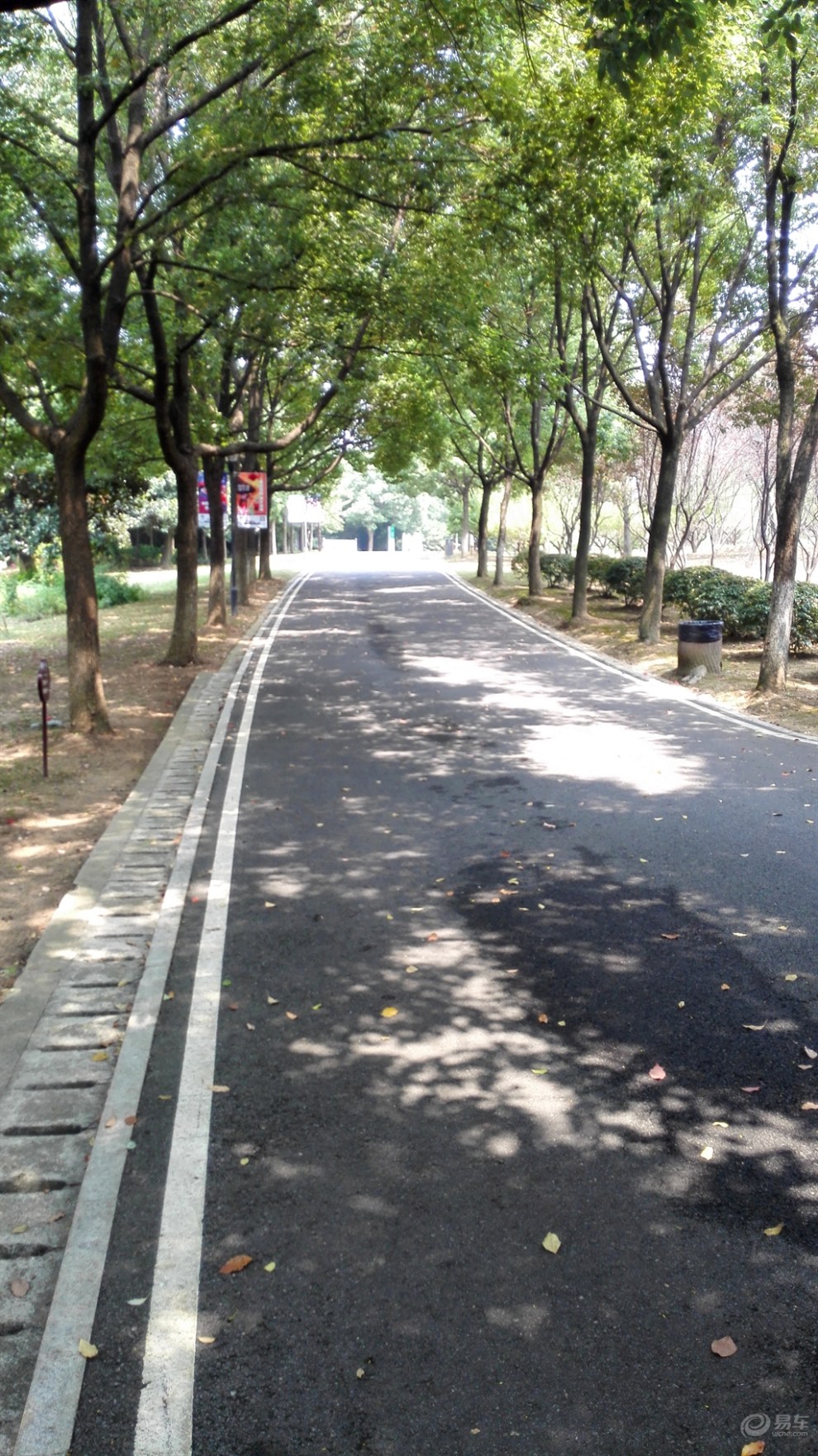 【精华大比拼】绿道上的小碧池