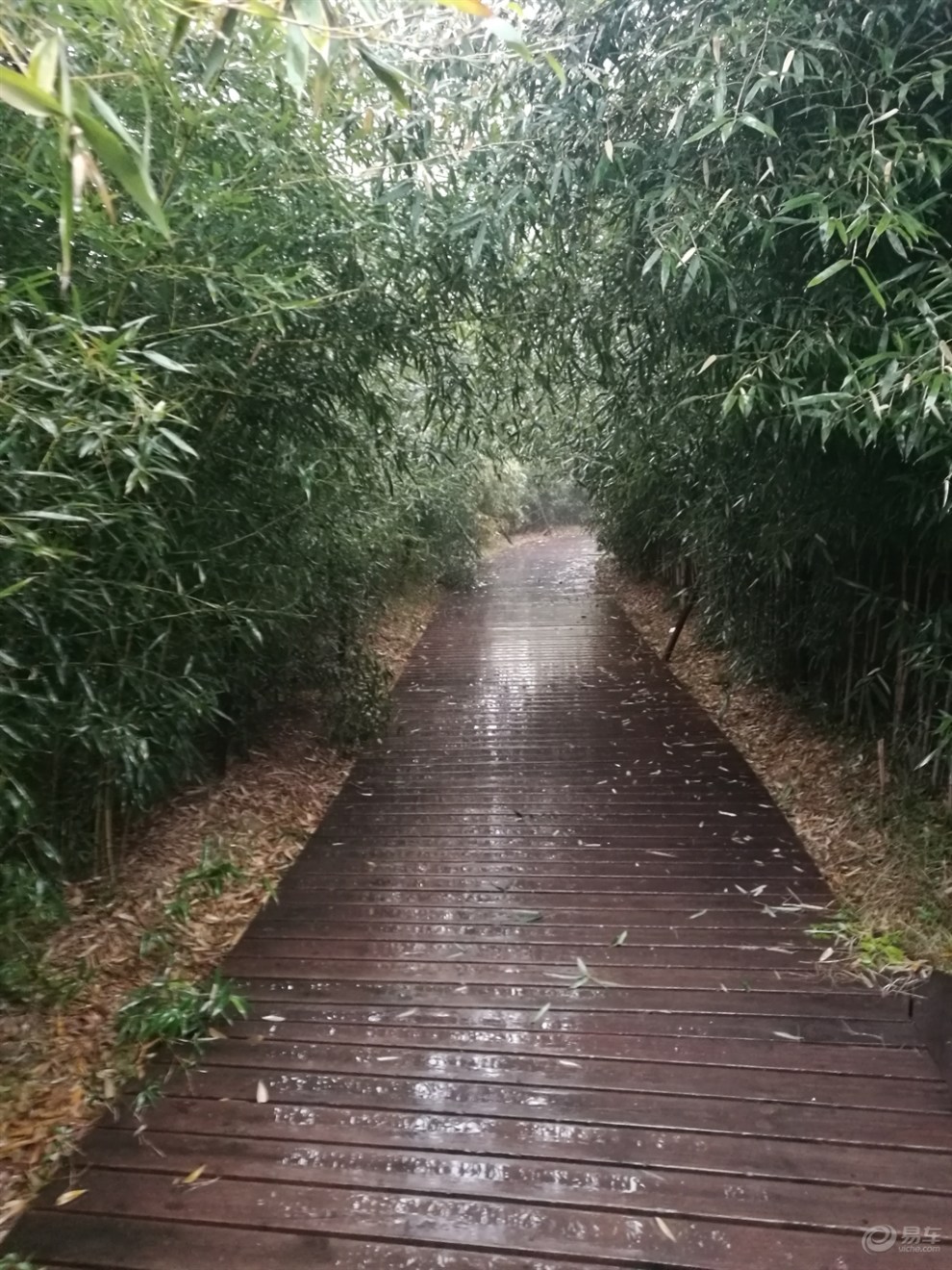 偷得浮生半日閒,冬日細雨中與好友徜徉臨沂美景