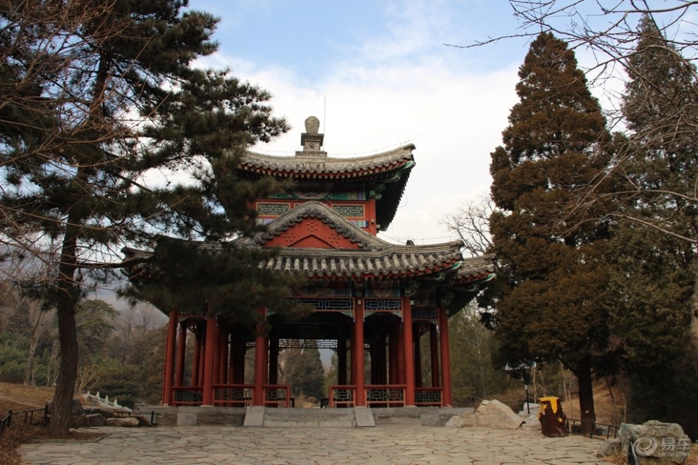 【原创首发】知松园赏松