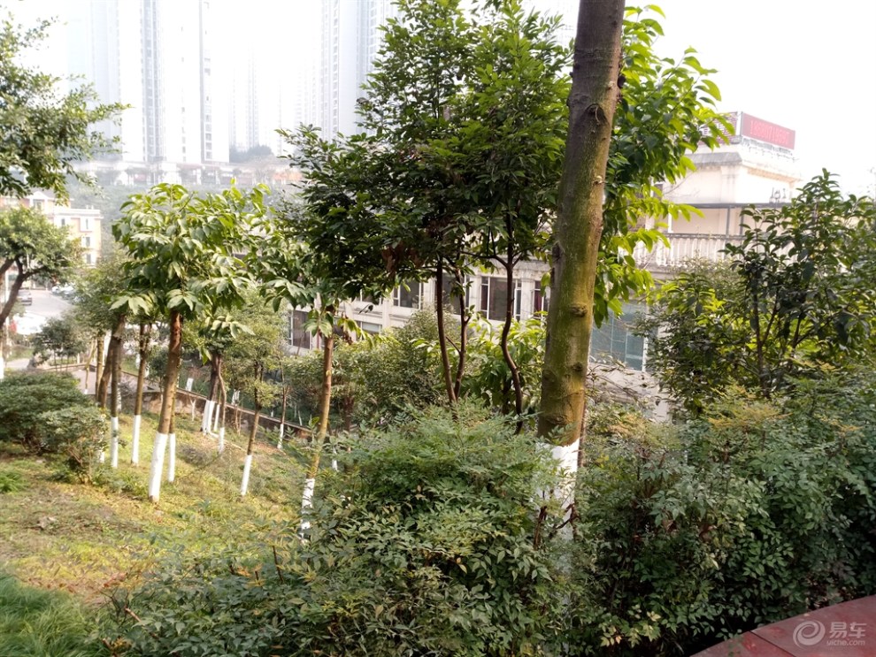 【首发】渝北盘溪河滨公园走一走!