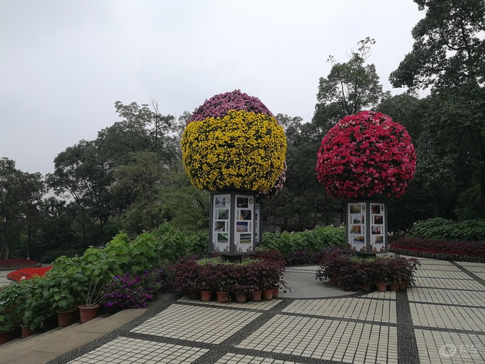 帶上家人逛天然氧吧成都植物園