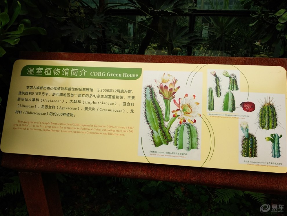 【四川cs35车友会】大象 自驾游成都植物园