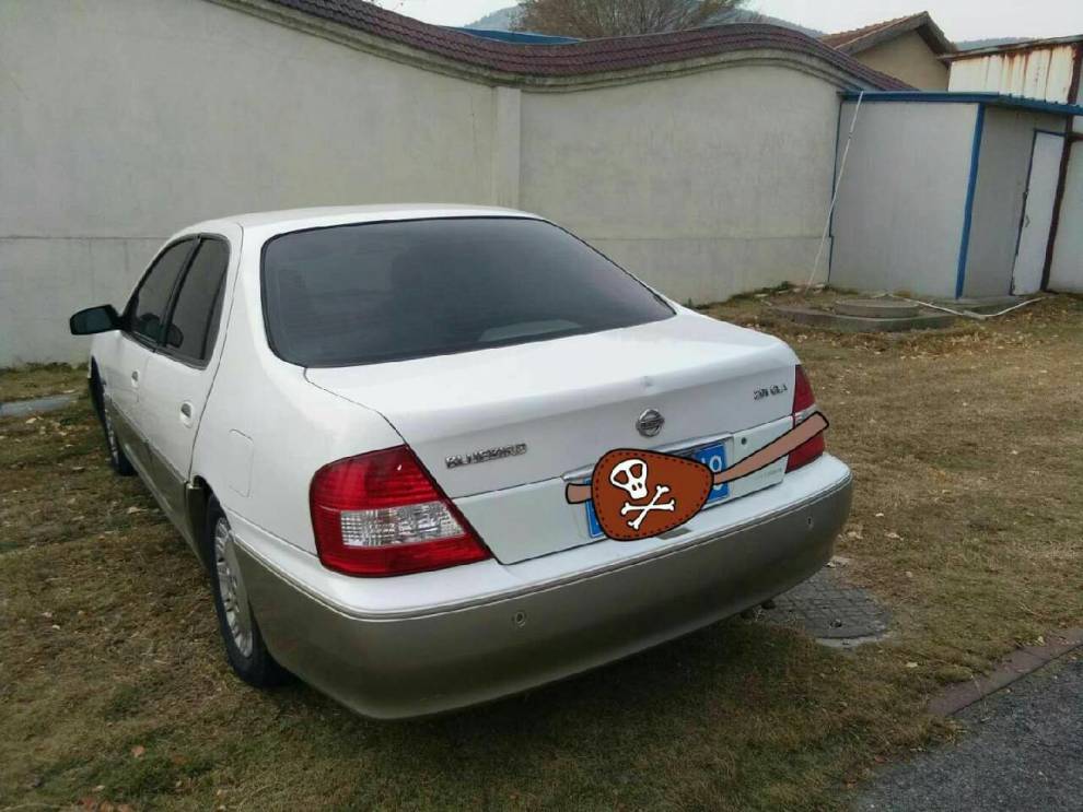 彰显稳重的老蓝鸟