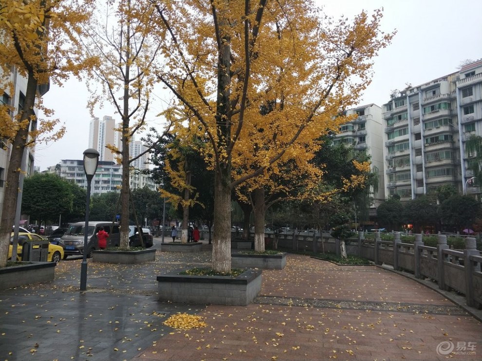 【重庆长安家族】人与自然和谐共处 游3a级南川半溪河公园