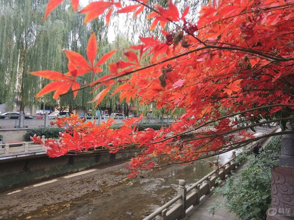 【重庆长安家族】人与自然和谐共处 游3a级南川半溪河公园