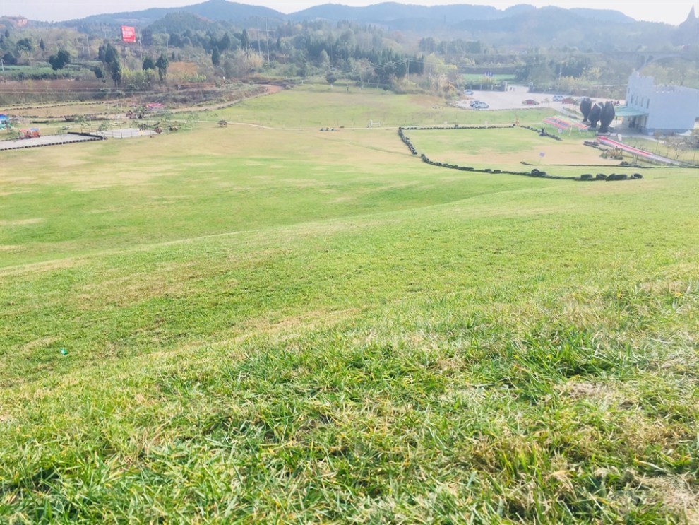 【四川cs35】约锭 白马关滑草场游玩记