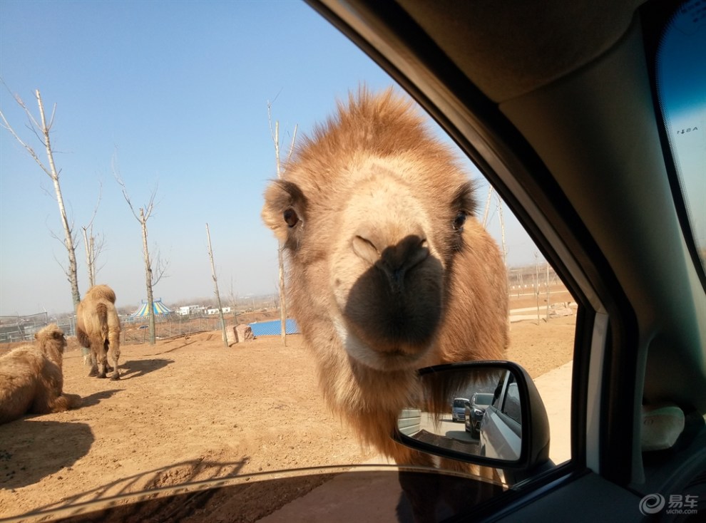 野生動物園--------------萬安山