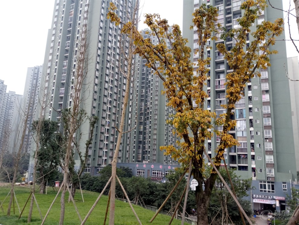 華巖新城 華福公園>,重慶首個為公租房配套的綜合性公園!