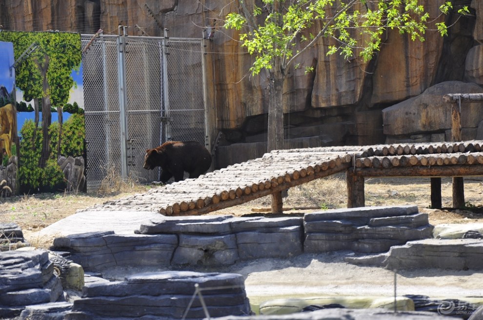 唐山新動物園——唐山又添遊玩好去處.