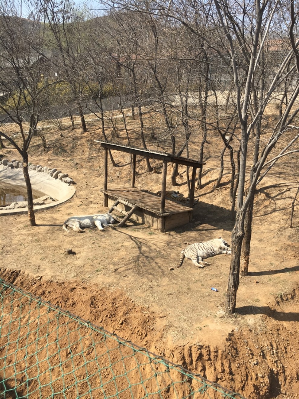 石家莊動物園