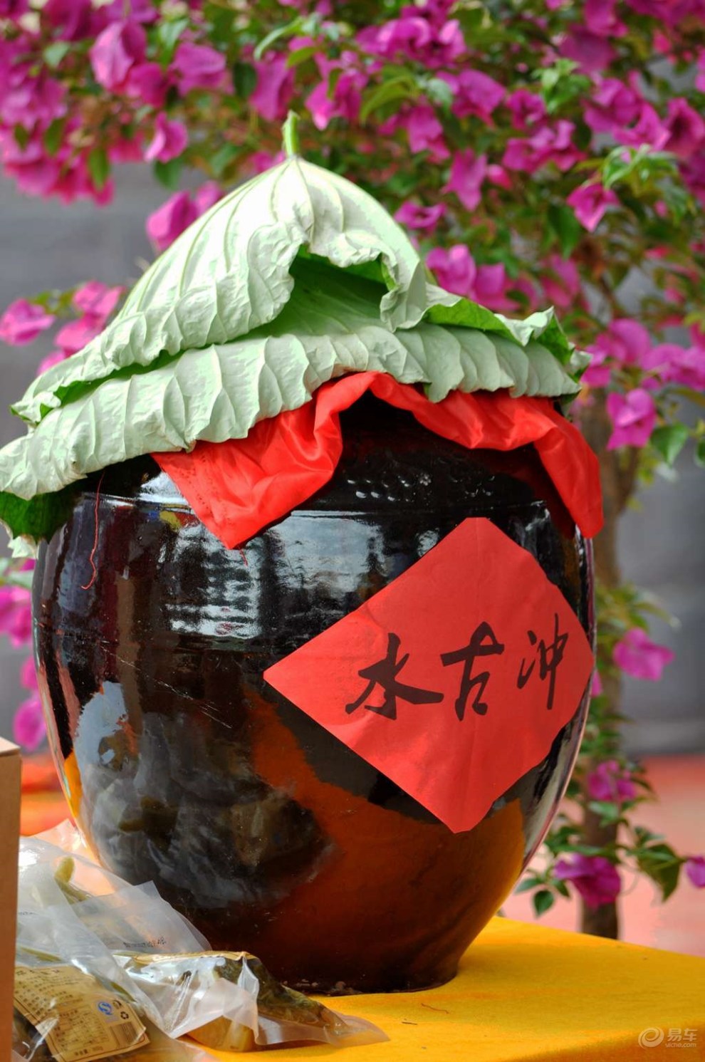 宜居乡村 荷谐陶家