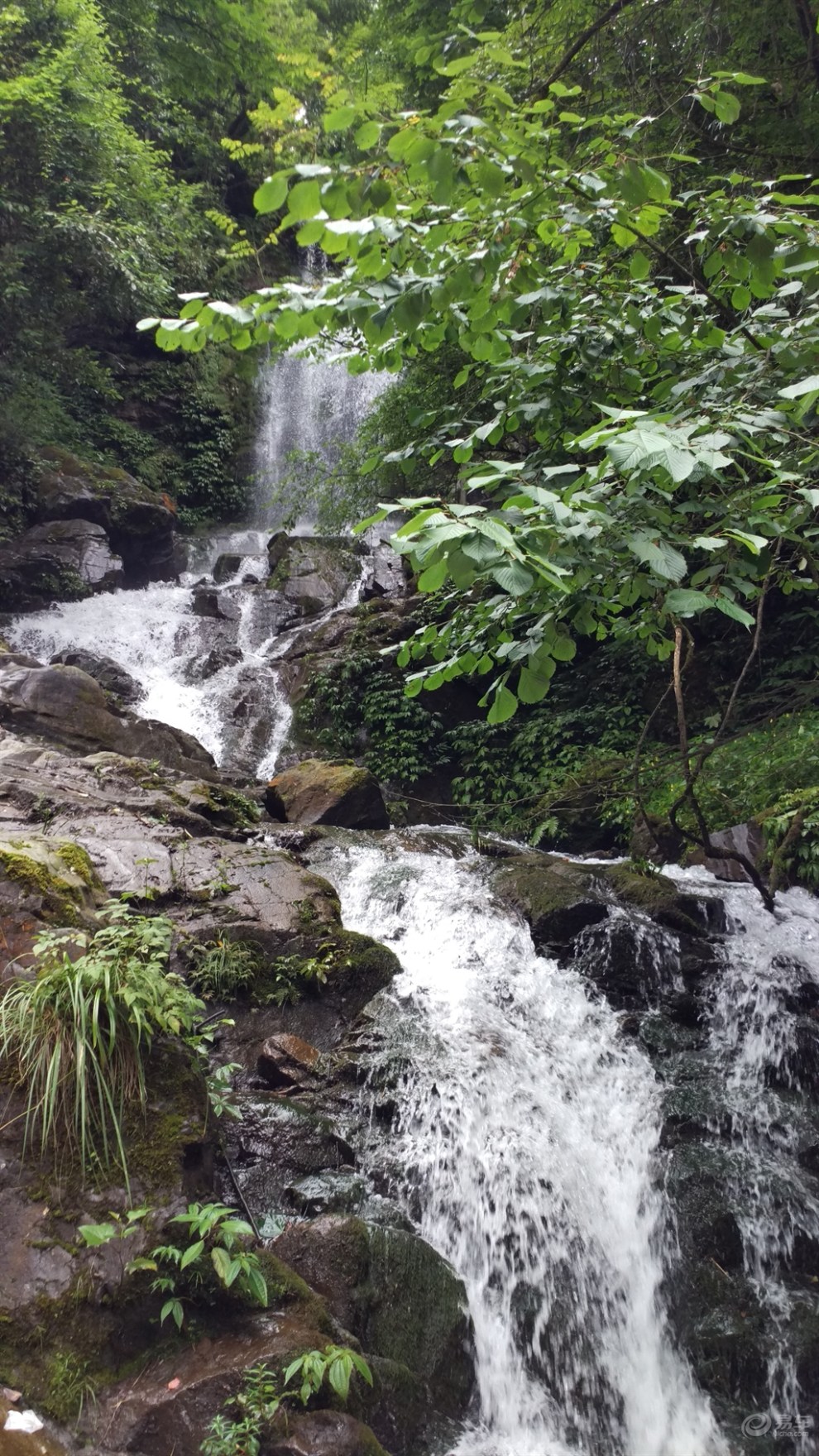 【四川cs35车友会】 大象 自驾游成都卧龙谷