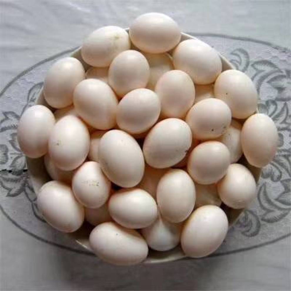 【】_美食之旅社区图片集锦_汽车论坛-易车网