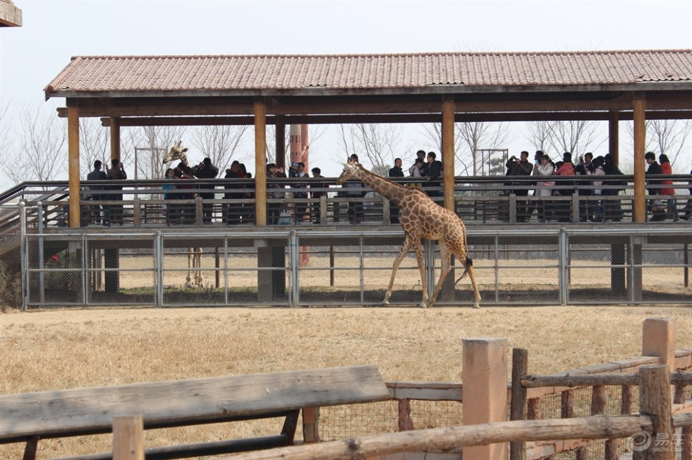 石家莊動物園