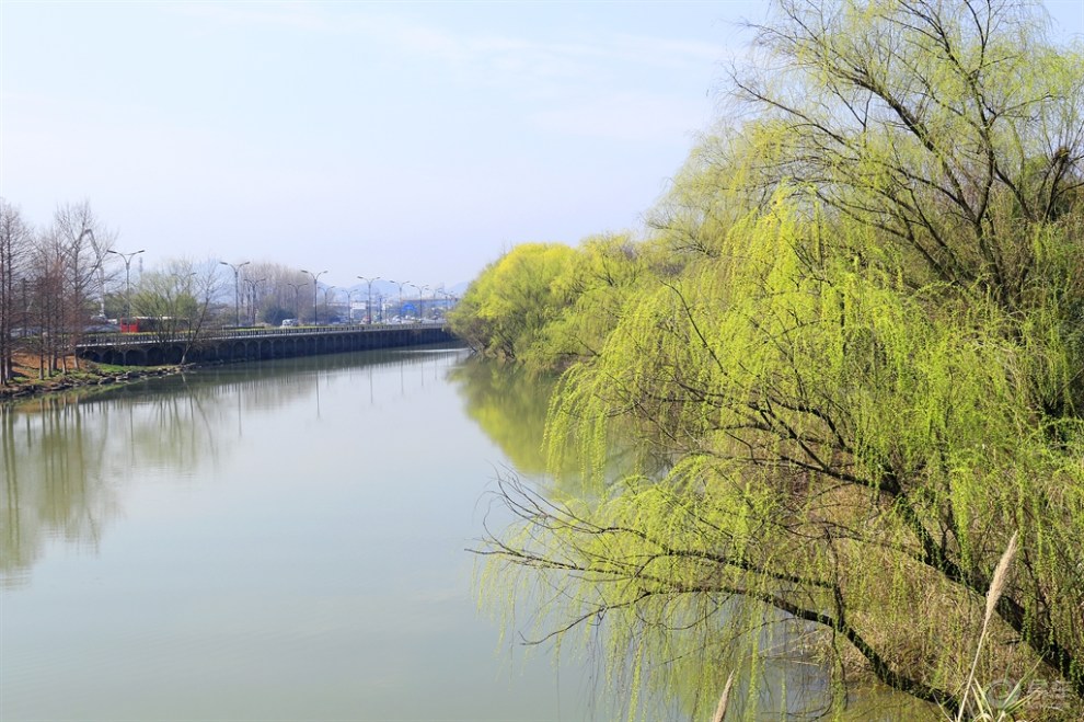 西溪湿地绿堤图片