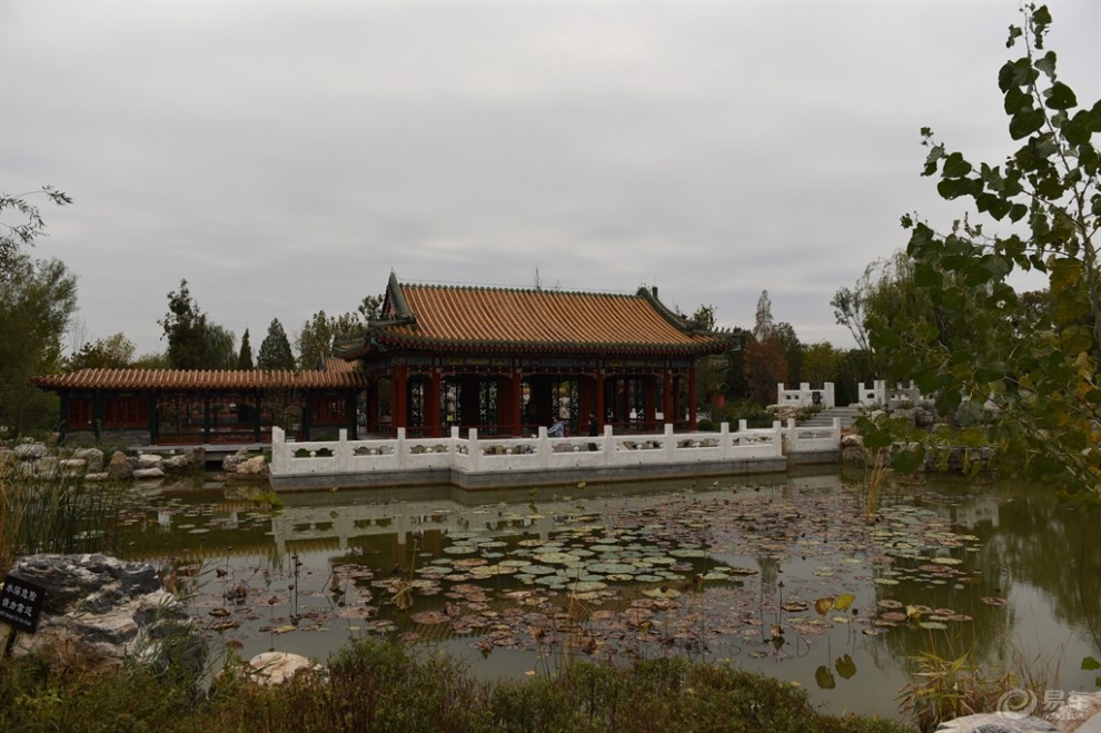 天津美景推介,武清綠博園之,山西 河北 北京園.