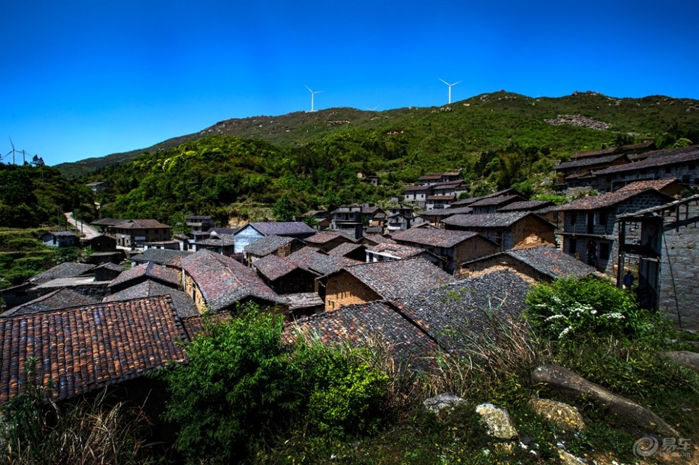 江西新干:最美人间四月天 燥石杜鹃分外红