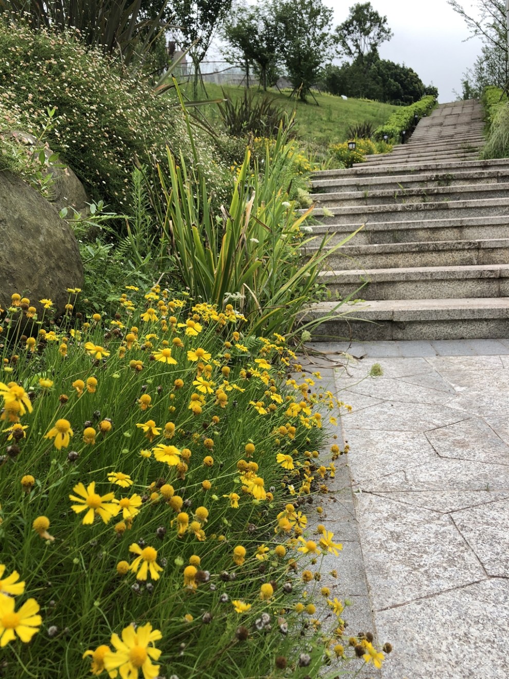 【無錫長安車友會】我的閒散時光-大地坡公園之旅