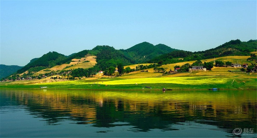 【辽宁长安车友俱乐部】丹东绿江村油菜花田