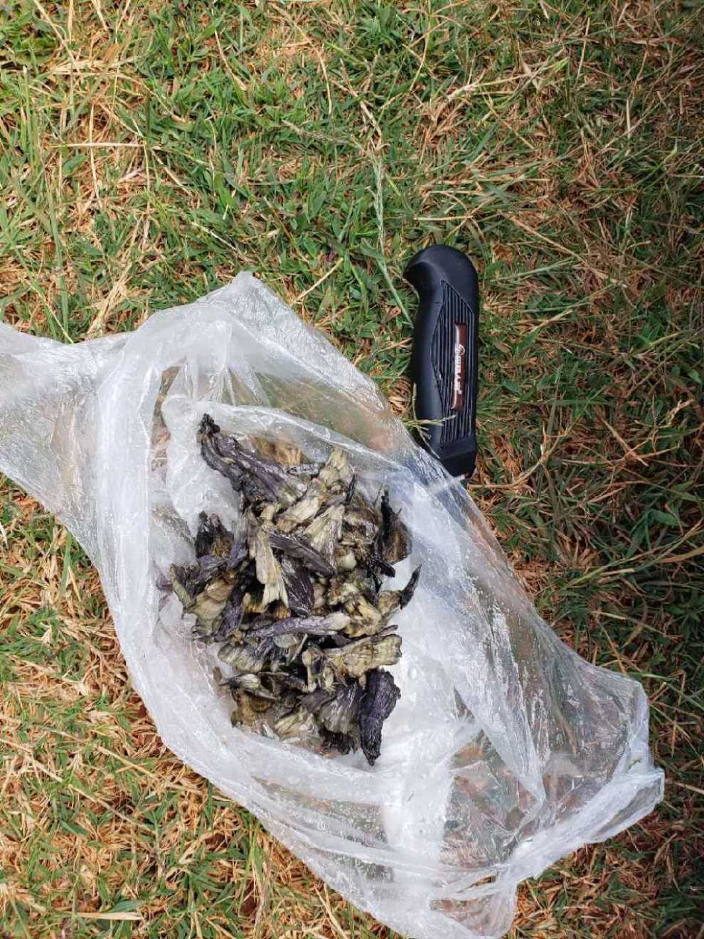 无问西东～禄劝北大营