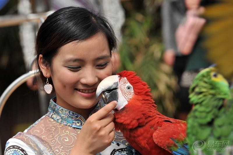 天津热带植物园里的鹦鹉美女