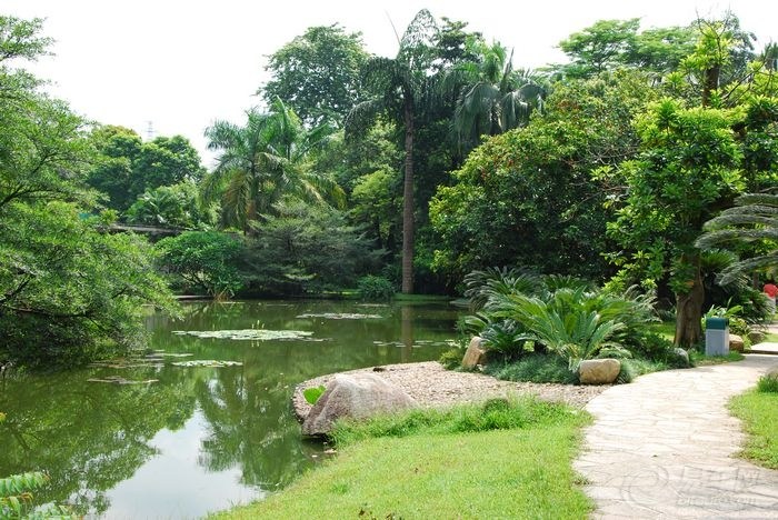 廣州華南植物園隨拍