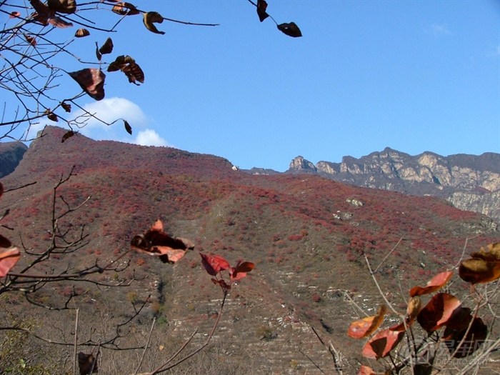 九九重陽節登山好去處,周口店黃山店坡峰嶺.