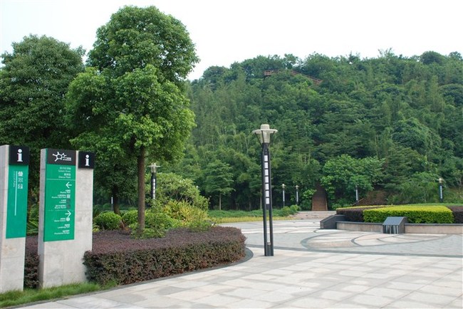 参观小洲艺术区